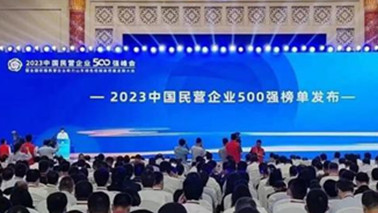 意昂2集团位列2023中国民营企业500强第203位、2023中国制造业民营企业500强第139位